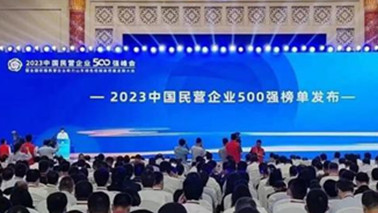 意昂2集团位列2023中国民营企业500强第203位、2023中国制造业民营企业500强第139位